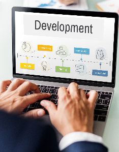 Top 10 Benefits of Custom Web Development for Your Business